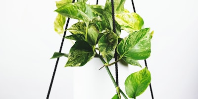 Aerial view of a full football stadium during a night World Cup match